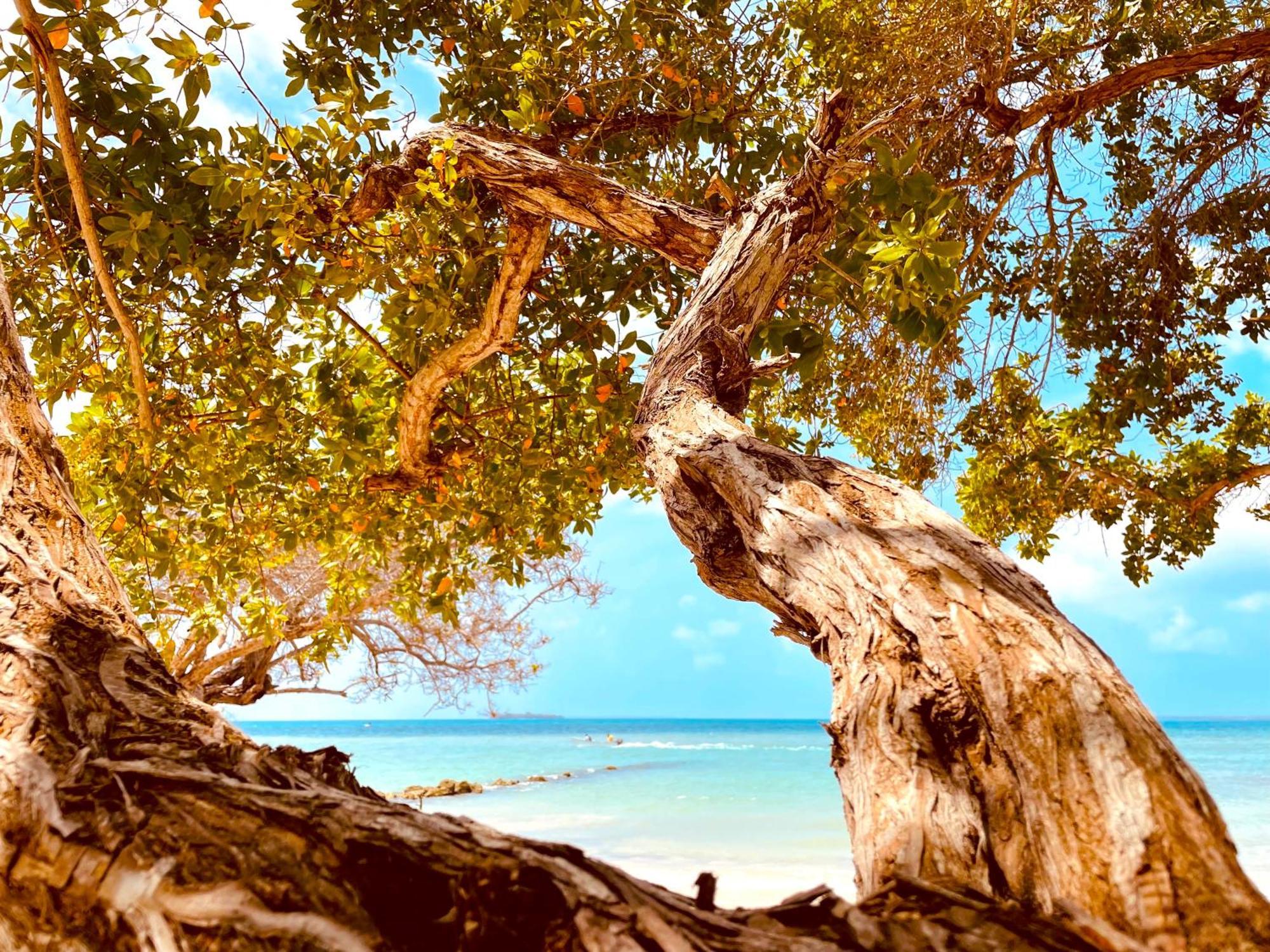 Hotel Carey Beach Isla Barú Екстериор снимка