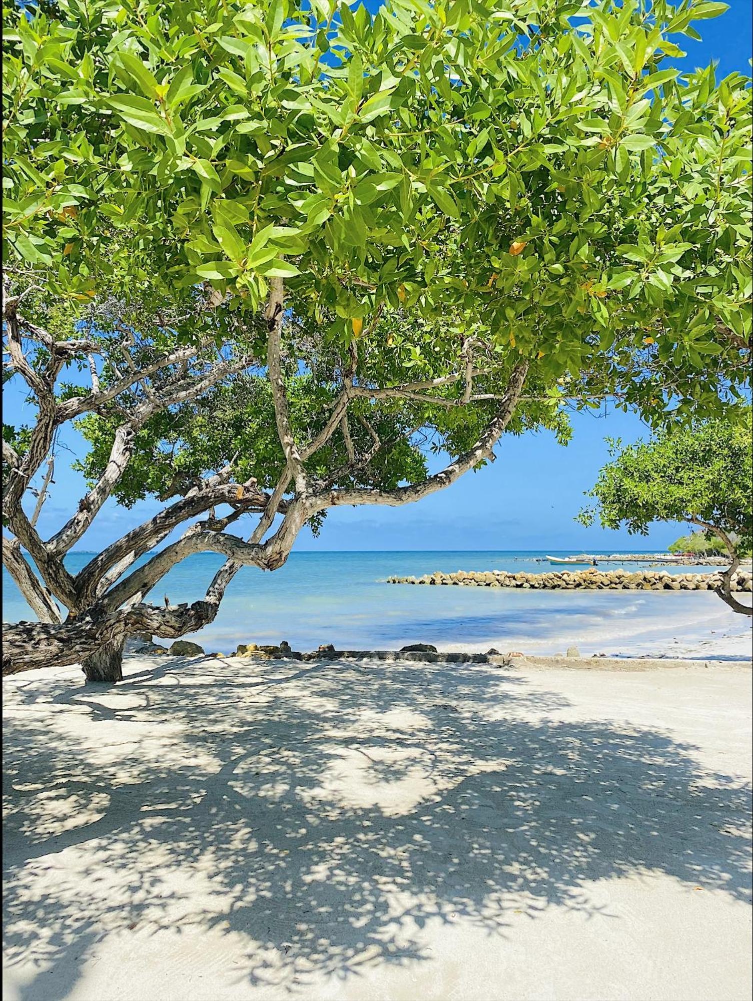 Carey Beach Isla Barú Екстериор снимка