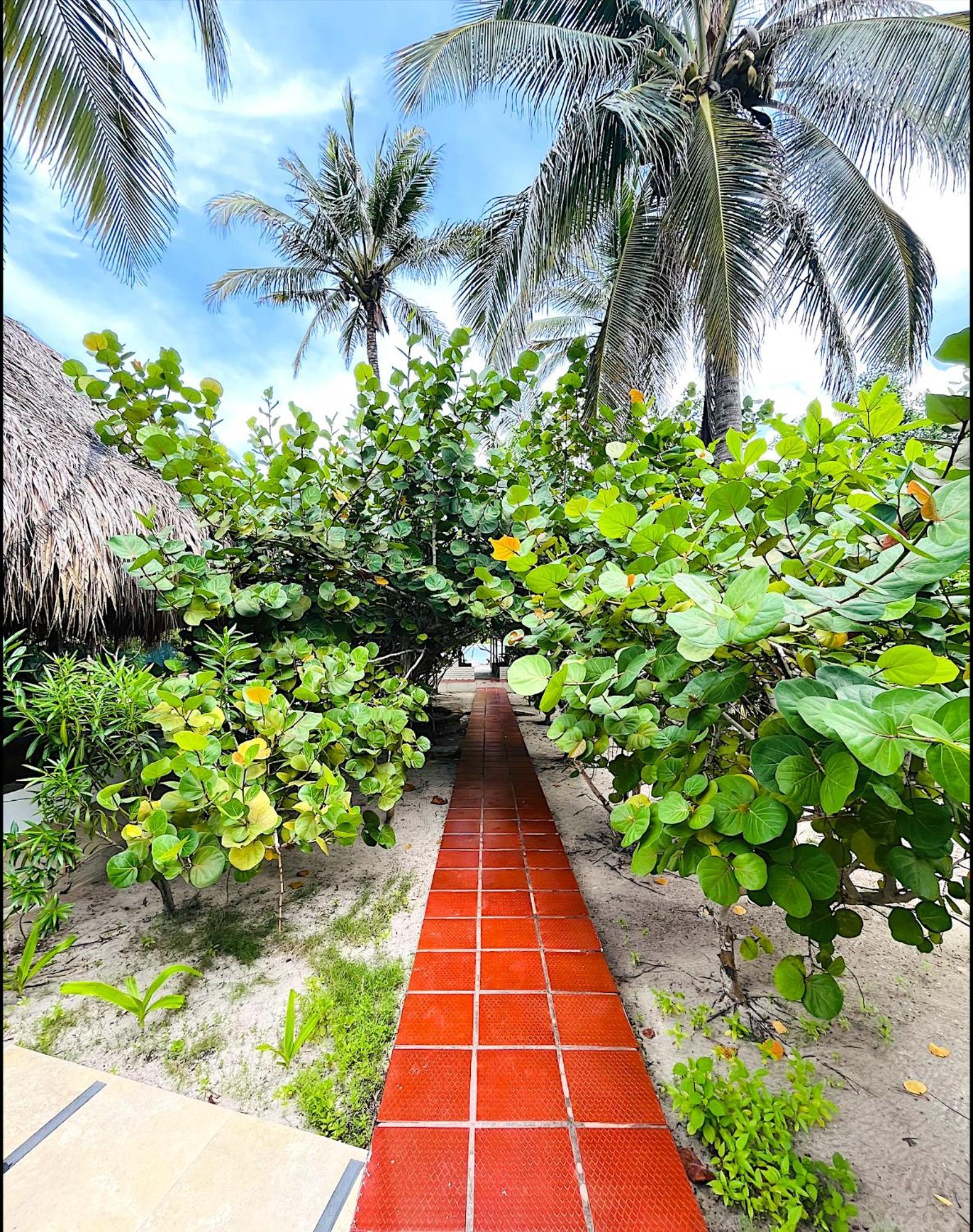 Carey Beach Isla Barú Екстериор снимка
