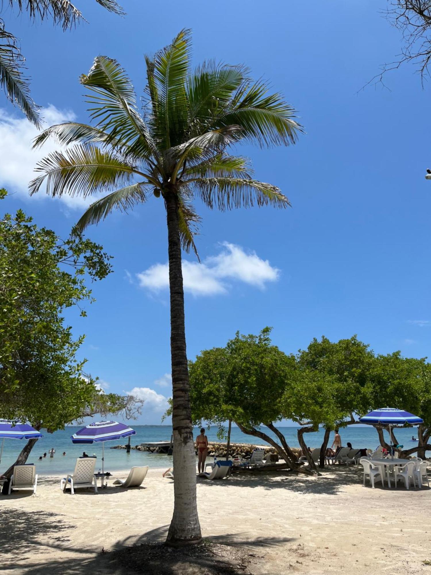 Carey Beach Isla Barú Екстериор снимка